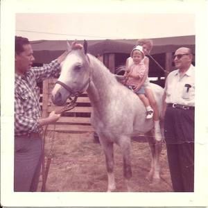 Meet your Posher, Sandra